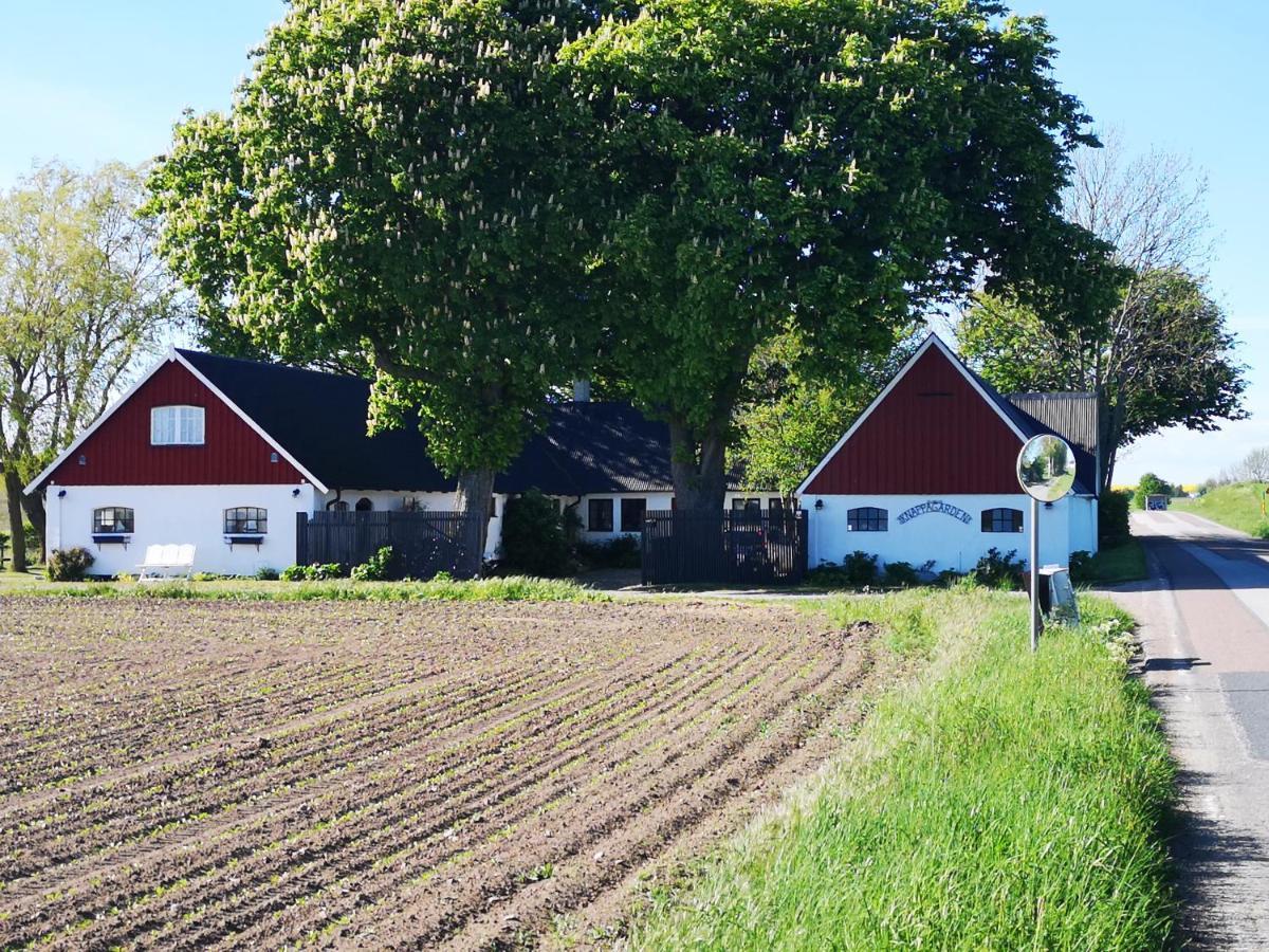 Knappagarden Glemminge Екстер'єр фото